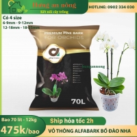 Bao 70 lít Vỏ Thông Alfa Bark trồng phong lan, ươm kie, giá thể cho kiểng lá, Nhập khẩu Bồ Đào Nha