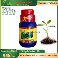 Kích rễ Vitamin B1 Multi Extra Thailand, cung cấp dưỡng chất, phục hồi rễ yếu chai 500ml