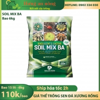Bao 6kg Soil mix BA đất trộn hữu cơ chuyên trồng sen đá xương rồng