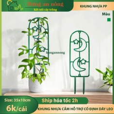 Khung nhựa đứng giá đỡ cố định dây leo bò trật tự gọn gàng szie 35x10cm ( xem trong mô tả )