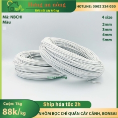 NBCHI - 1kg nhôm bọc chỉ dùng quấn cành cố định hình cây non, cây kiểng, cây bonsai tạo dáng đẹp theo ý muốn