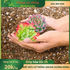 Super Soil Mix - túi 1kg đất hữu cơ trộn sẵn chuyên trồng sen đá xương rồng