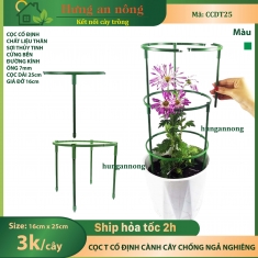 CCDT25 - Trụ chữ T cố định các cành cây, chậu cây chống ngả nghiêng ( xem trong mô tả )