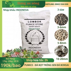 Bao 40 lít đá pumice đá bọt nhập khẩu Indonesia, trồng sen đá xương rồng bonsai