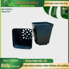 CNVDL2 - Sét 100 châu nhựa vuông đen ươm trồng cây size 5.2x6cm