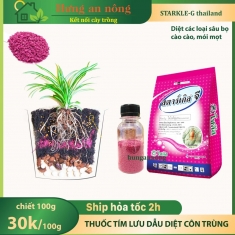 Starle-G thuốc tím lưu dẫn diệt côn trùng hàng Thailand lọ 100g