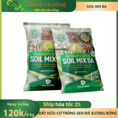 Soil mix BA túi 6kg - đất trộn hữu cơ chuyên trồng sen đá xương rồng