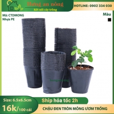 CTDMONG - Sét 100 Chậu ươm trồng cây tiện dụng tiết kiệm chi phí, nhựa PE dai mỏng size 6.5x6.5cm