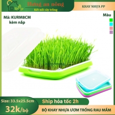 KURM8CM - Bộ khay nhựa PP kèm nắp chuyên trồng các loại rau mầm size 33.5x25x5cm