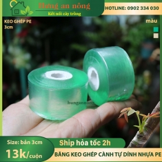 Băng keo trong bản 3cm ghép cành tự dính chất liệu nhựa PE