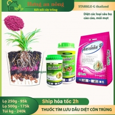 Starle-G thuốc tím lưu dẫn diệt côn trùng hàng Thailand lọ 250g