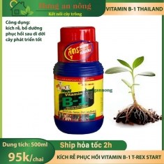 Kích rễ Vitamin B1 Multi Extra Thailand, cung cấp dưỡng chất, phục hồi rễ yếu chai 500ml
