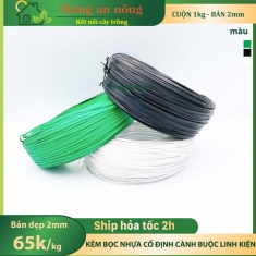 Cuộn 1kg kẽm bọc nhựa cố định cành buộn linh kiện bản dẹp 2mm màu xanh lá