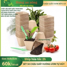 CG8VUTH - 50 chậu giấy vuông tự hủy ươm cây giống tiết kiệm và bảo vệ môi trường. size 8x8x5cm