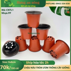 CNTL1 - Sét 100 cái chậu nâu tròn ươm trồng cây giống nhựa PP size 9x8cm