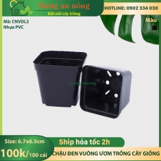 CNVDL2 - Sét 100 châu nhựa vuông đen ươm trồng cây size 6.7x6.5cm