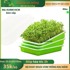 KURM10CM - Bộ khay nắp nhựa sâu lòng chuyên trồng các loại rau mầm