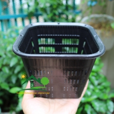 Chậu nhựa đen vuông size 140x110x90mm trồng lan cây thuỷ sinh