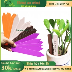 Sét 100 thẻ trụ cắm dùng đánh dấu tên giống cây trồng size bản to 2.5x15cm ( xem trong mô tả )