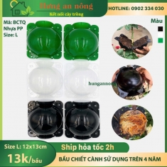 BCTQL - Bầu nhựa chuyên hỗ trợ chiết cành giúp rễ chiết sinh trưởng và phát tốt ( size L - 12x13cm )