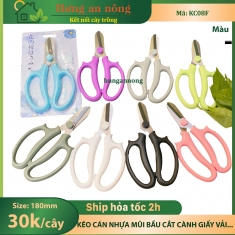 KC08F -  Kéo mũi bầu cán nhựa chuyên cắt cành nhánh giấy chỉ màu sắc đẹp szie 18cm ( xem trong mô tả )