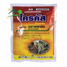 Thuốc Trị Thối Nhũn Crocus Thailand Gói 100g