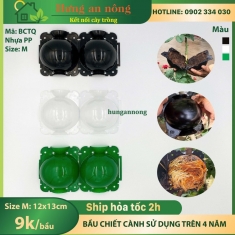 BCTQM - Bầu nhựa chuyên hỗ trợ chiết cành giúp rễ chiết sinh trưởng và phát tốt ( size M - 8x10cm )