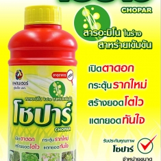 Rong Biển Thái Lan Chopar - Chai 1 lít