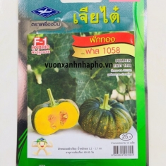 BÍ VÀNG DẺO - PUMPKIN FAST - CTQ03/F1