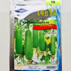 MƯỚP NGẮN - SPONGE GOURD - CTQ14/OP