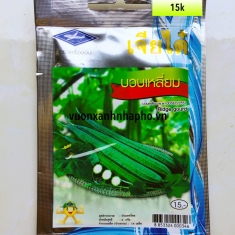 MƯỚP KHÍA THAILAND - RIDGE GOURD - CTQ35/OP