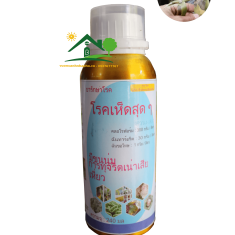 Thuốc trị thối nhũn siêu nhanh, hàng nội địa Thailand (chai 240ml)